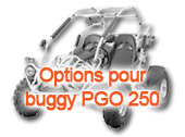 Options pour buggy PGO 250