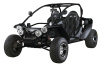 Buggy PGO BR 500i ECO