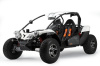 Buggy PGO SPR 500i