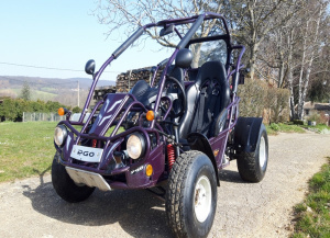 Buggy PGO 250 BugRider de 2005