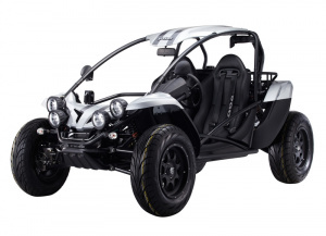 Buggy PGO BUGRACER 600i (plus commercialis )