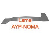 Lame AYP - NOMA