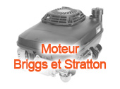 Moteur Briggs et Stratton