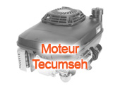 Moteur Tecumseh