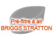 Moteur BRIGGS et STRATTON