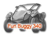 Fun Buggy 340